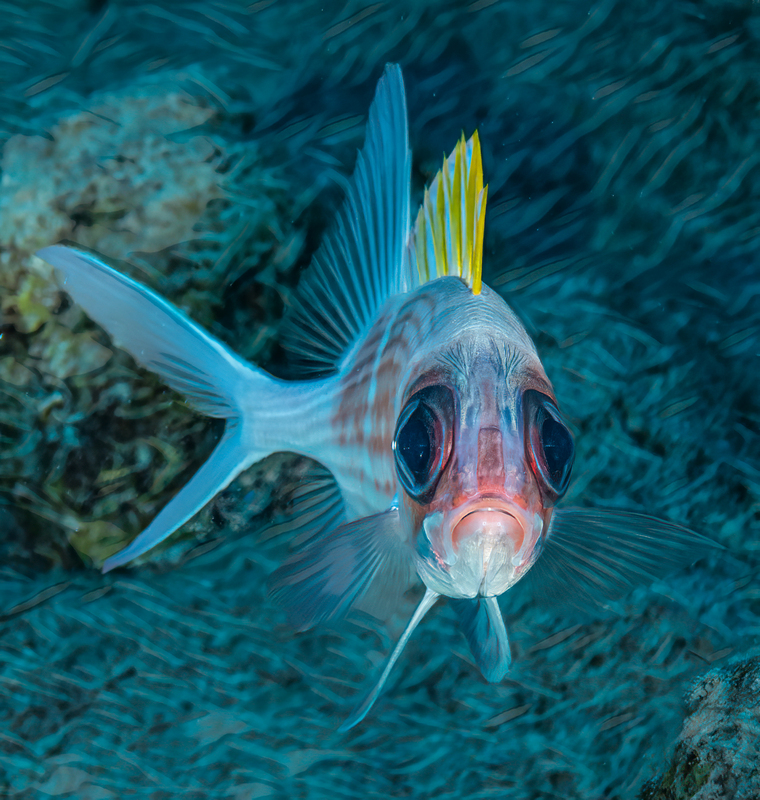 ocean art 1-32.jpg