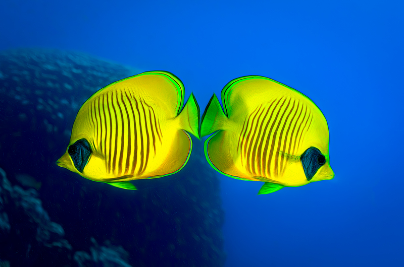 ocean art 1-36.jpg