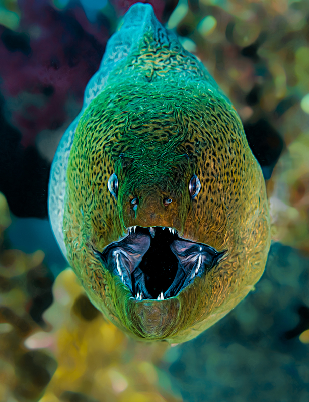 ocean art 1-38.jpg