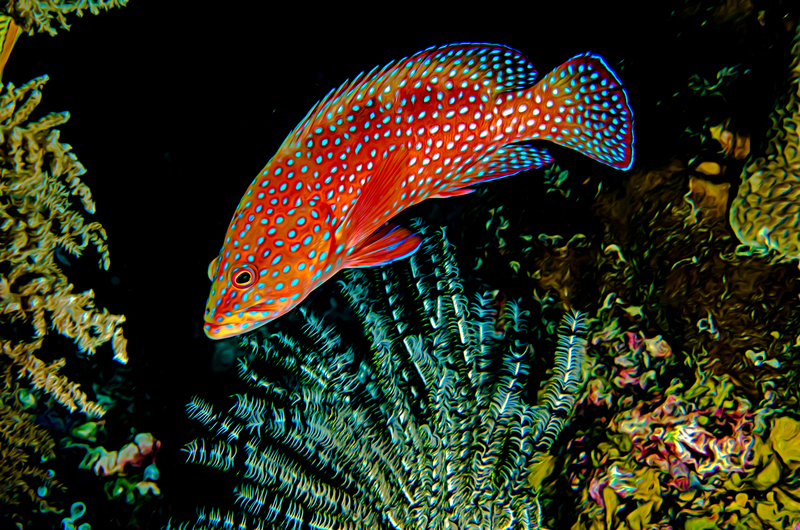 ocean art 1-4.jpg