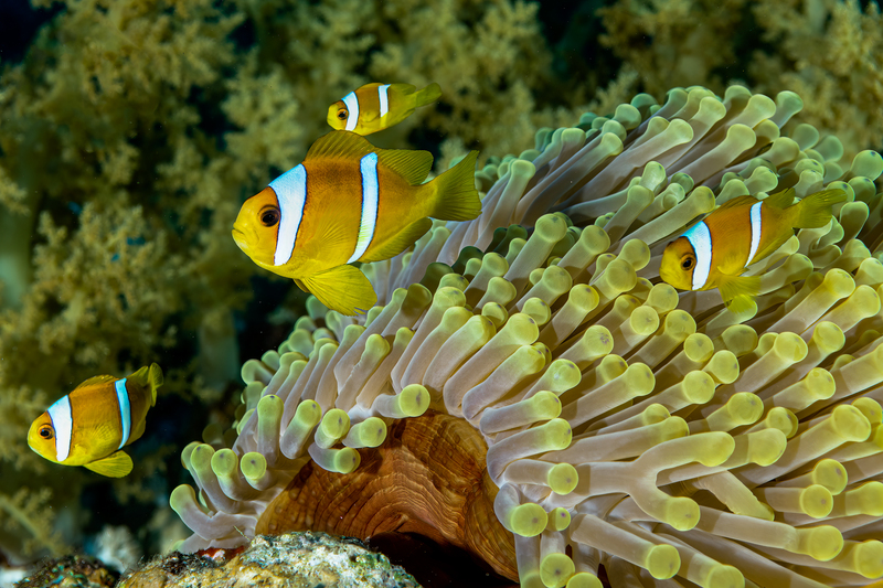 ocean art 1-40.jpg