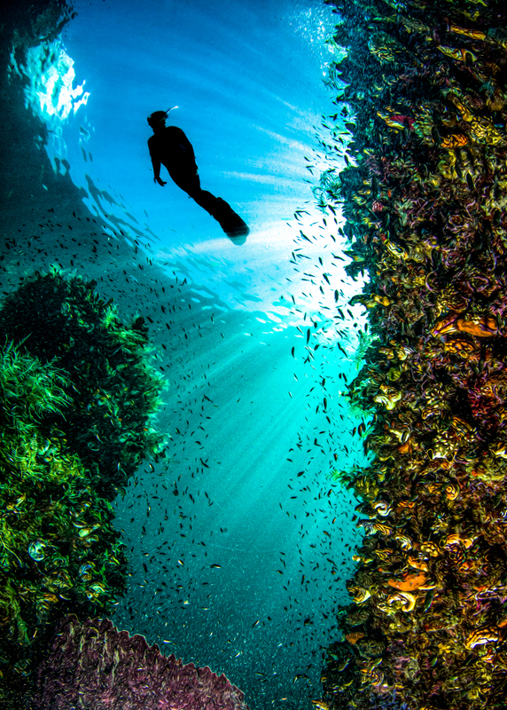 ocean art 1-5.jpg