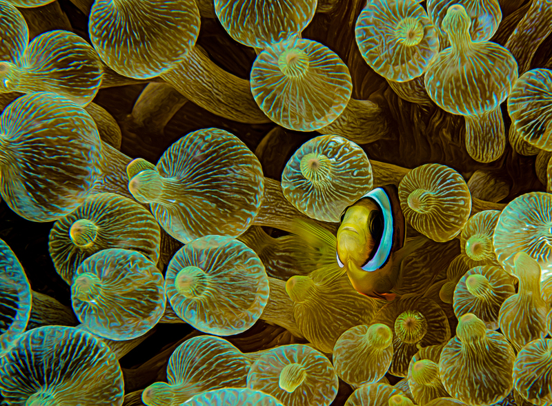 ocean art 1-7.jpg