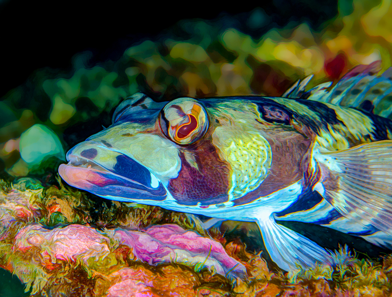 ocean art 1-8.jpg