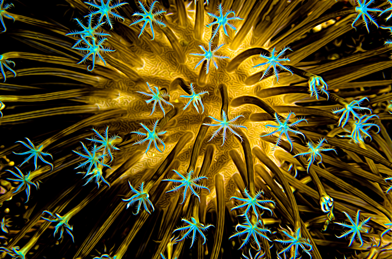 ocean art 1-9.jpg