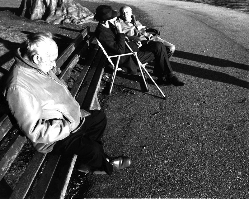 73-Golden Gate Park.jpg