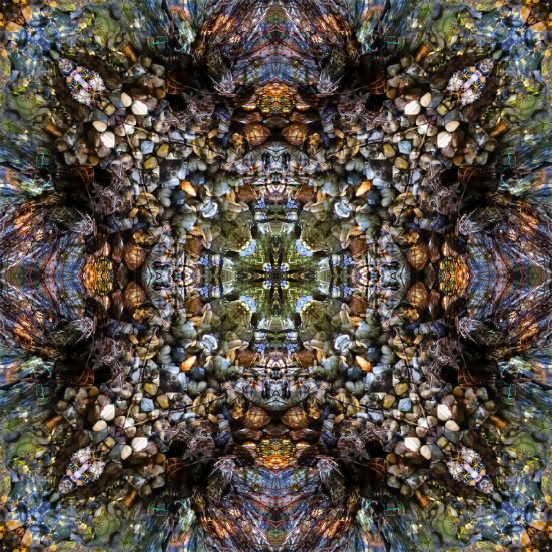 American River Mandala 53.jpg