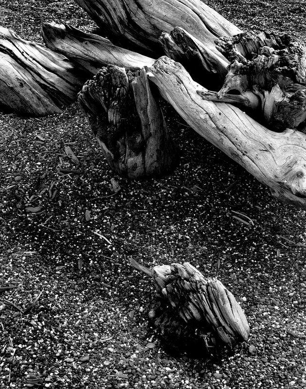 Beach Elementals 12.jpg