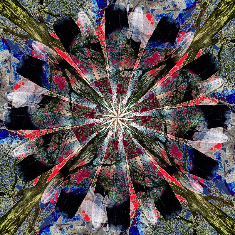 Nature Mandala 10.jpg