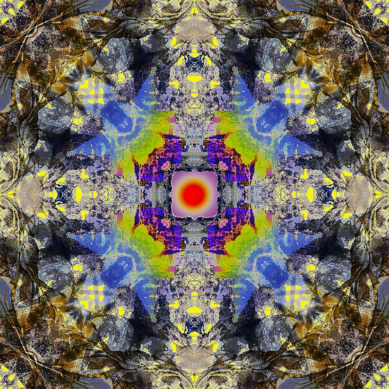 Nature Mandala 11.jpg
