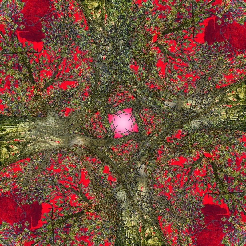 Nature Mandala 12.jpg