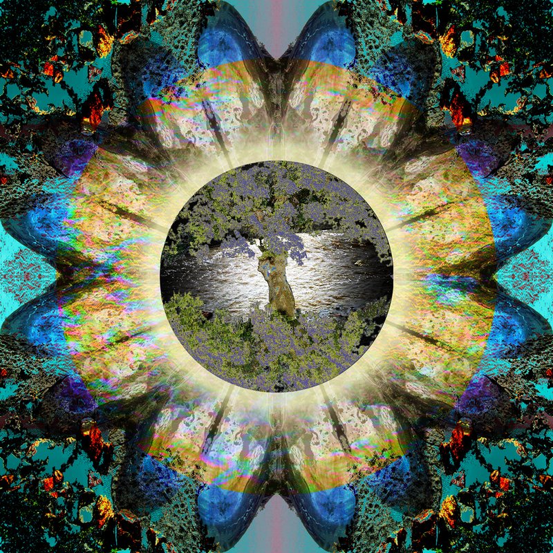 Nature Mandala 4.jpg