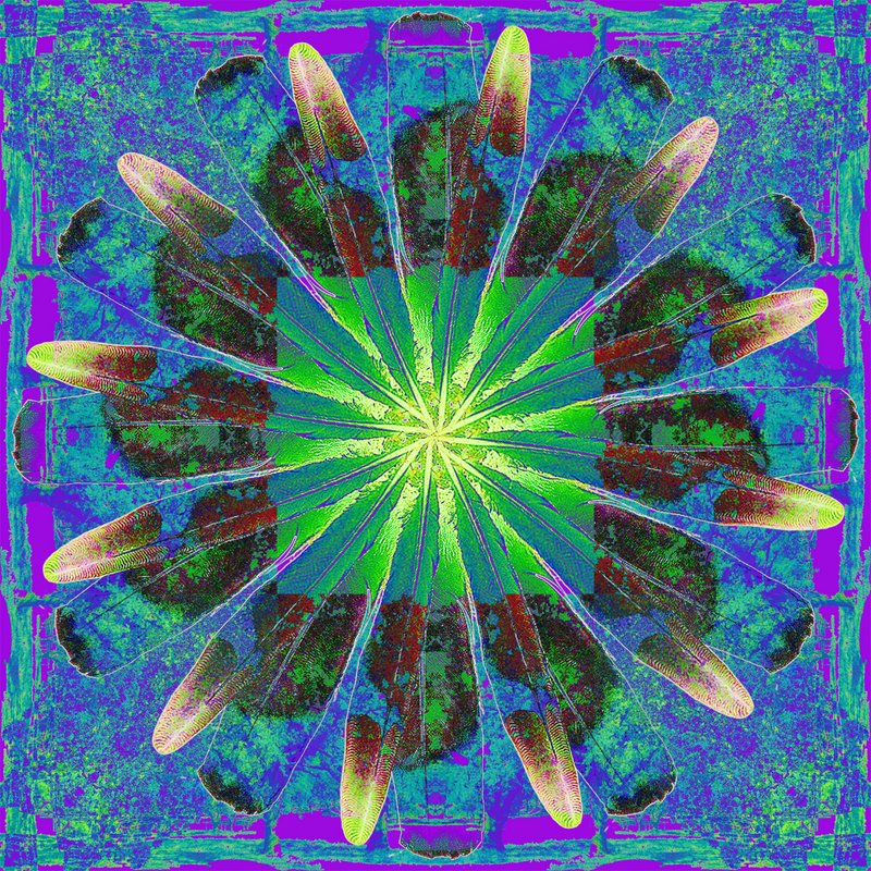Nature Mandala 6.jpg