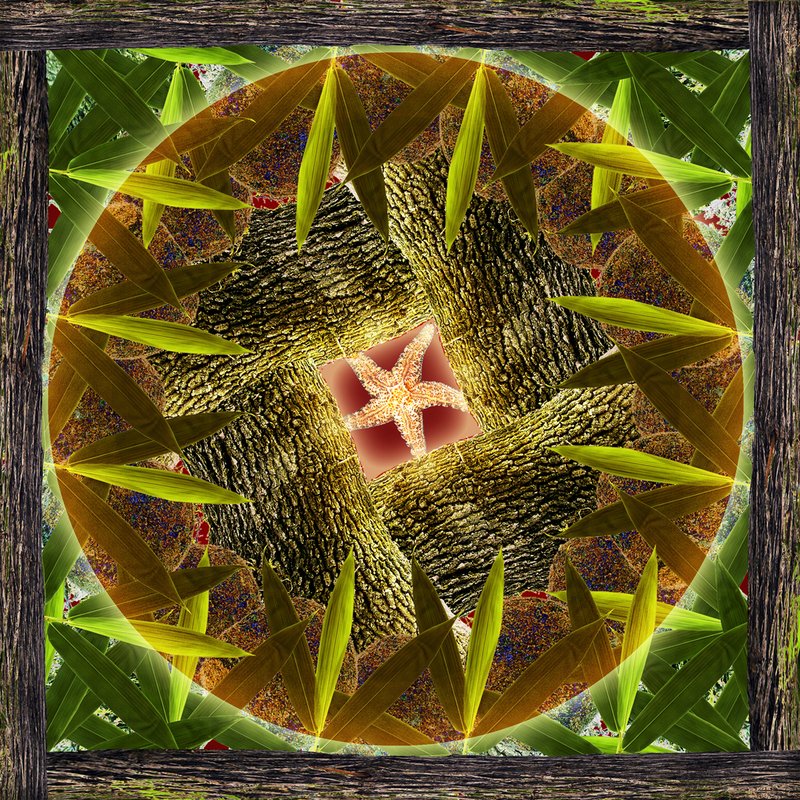 Nature Mandala 7.jpg
