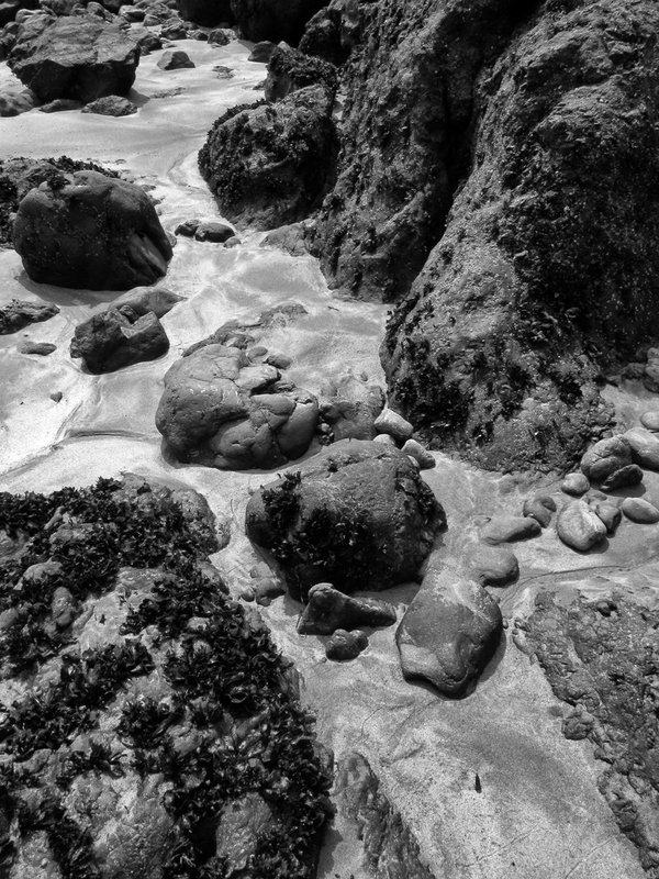 Pt. Cabrillo Beach 2.jpg ::                                