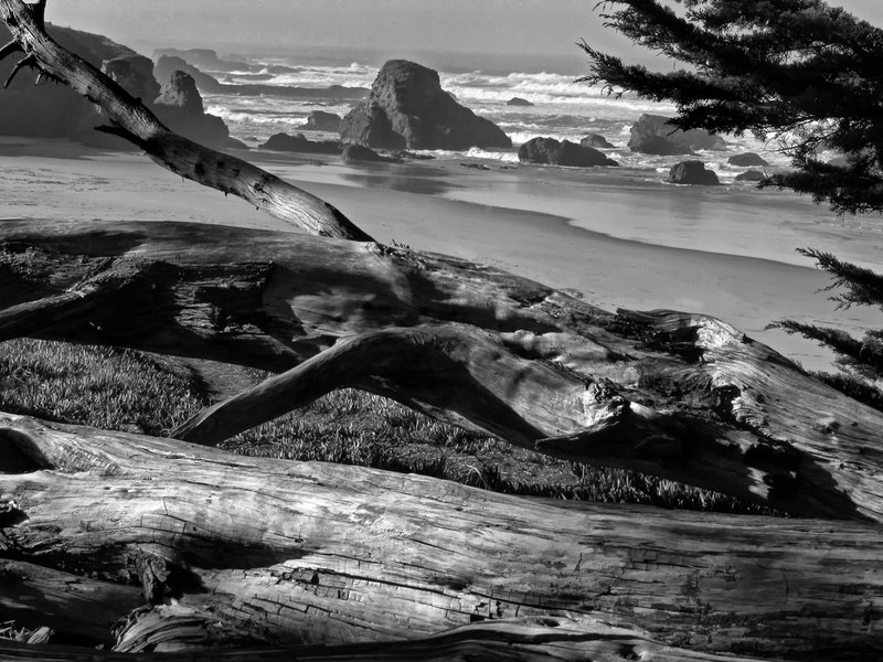 Pudding Creek Beach.jpg