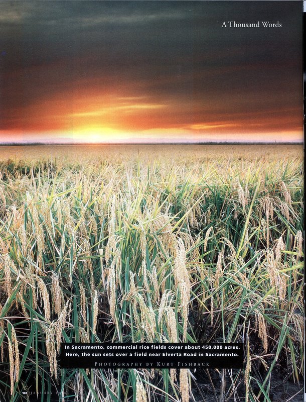 Sacmag13.jpg