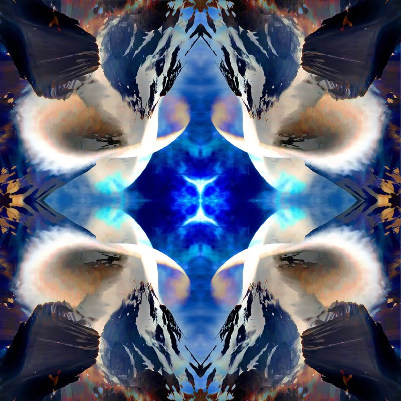 Shasta Mandala C.jpg