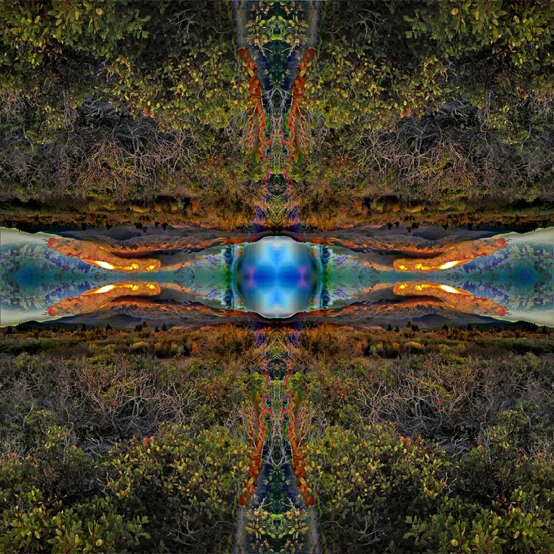 Shasta Mandala D.jpg