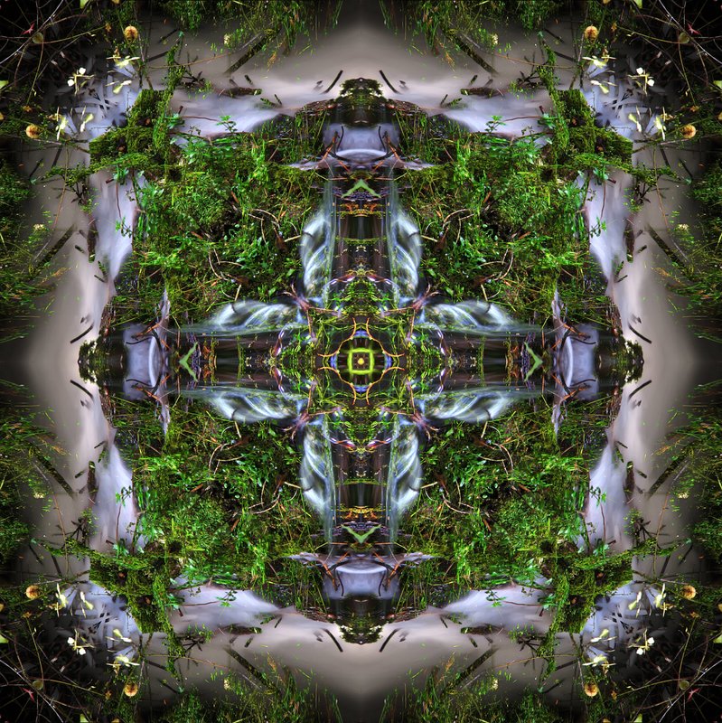 Shasta Pond Mandala G.jpg