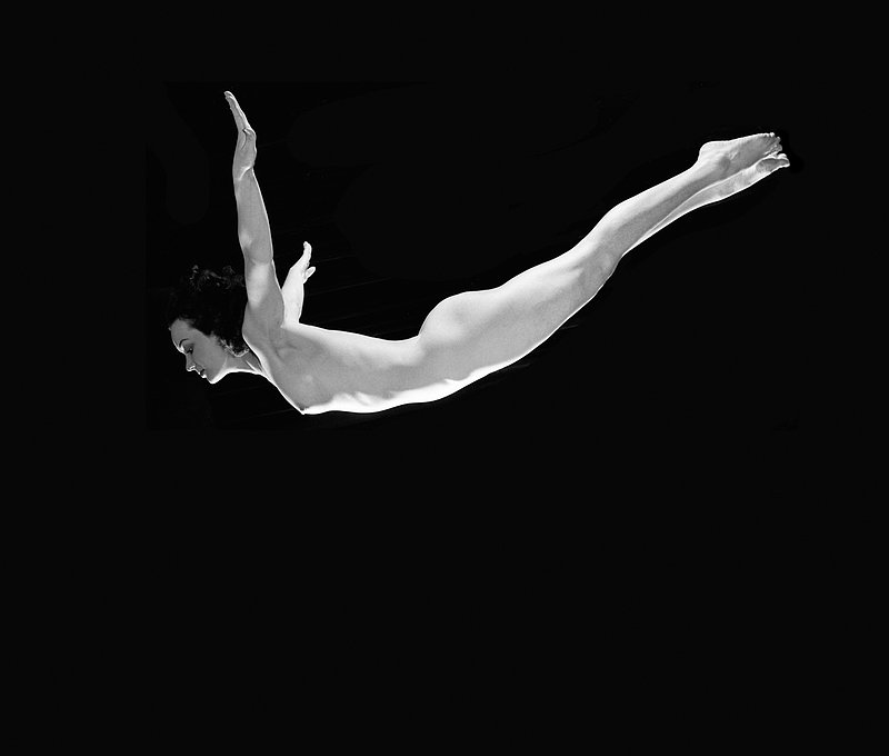 Swan Dive.jpg