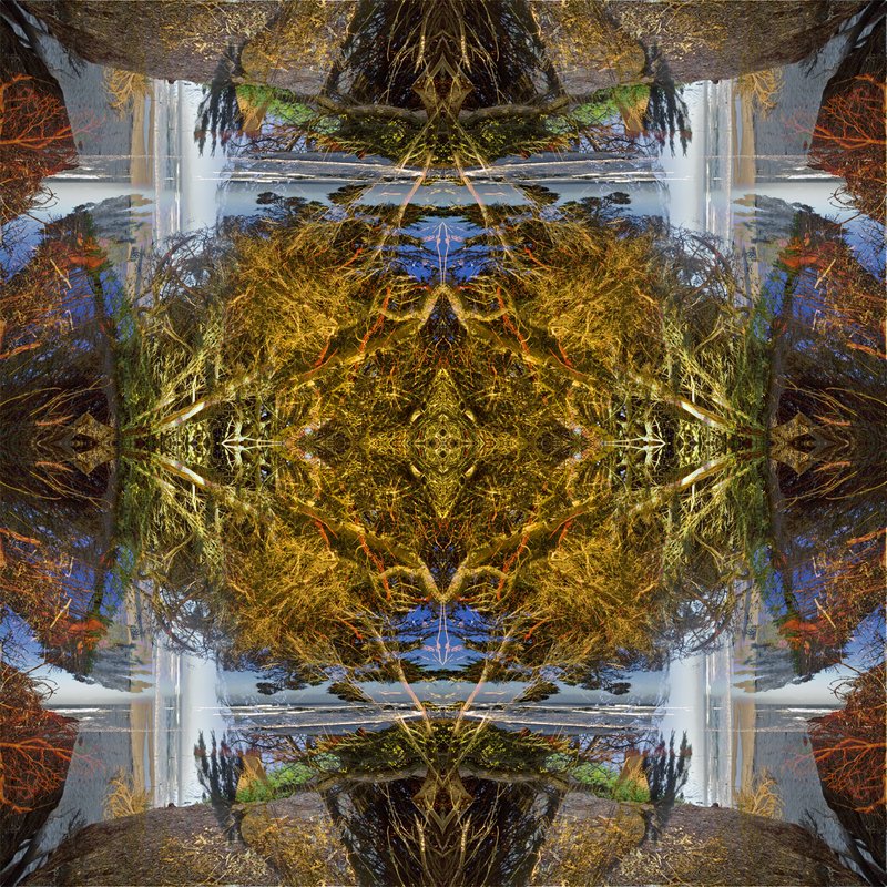 Untitled-31.2.jpg