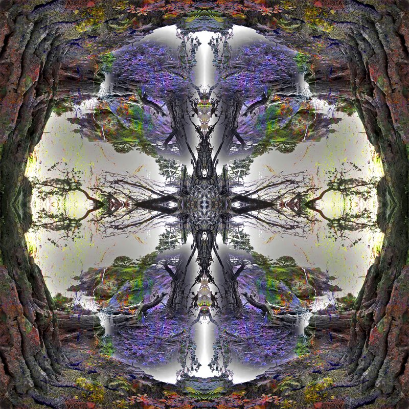 Untitled-35-.jpg
