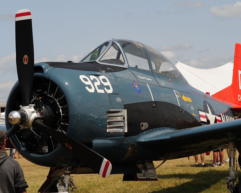 DSC_0495.jpg