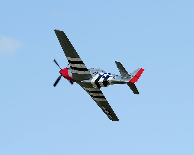 DSC_0729.jpg