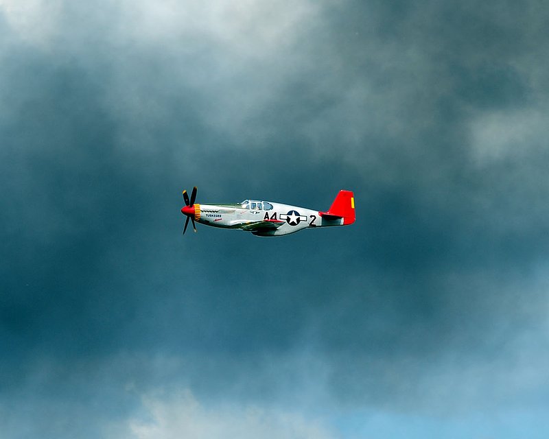 DSC_07421.jpg