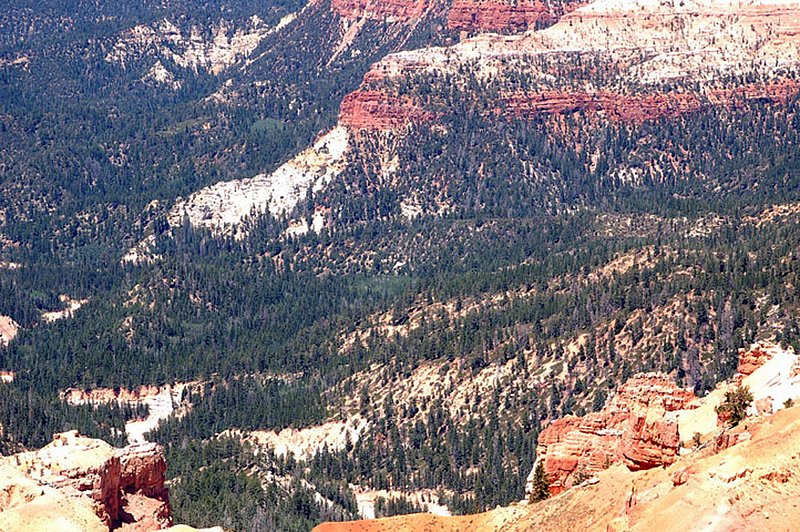 DSC_5978_web copy1.jpg
