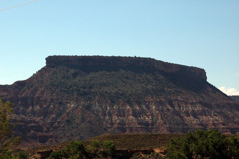 DSC_6100.jpg