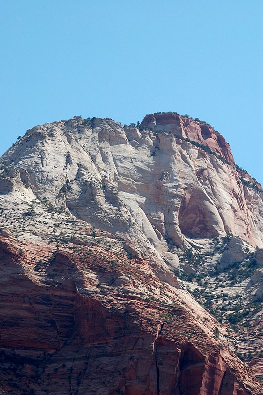 DSC_6110.jpg