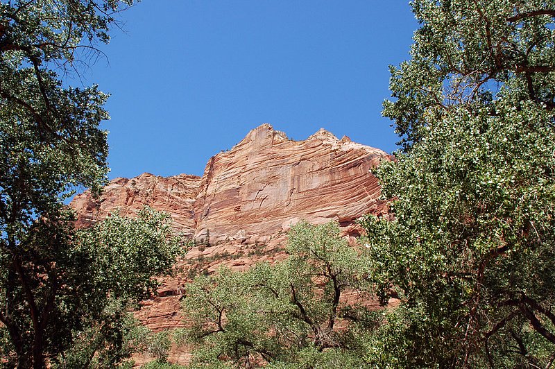 DSC_6111.jpg