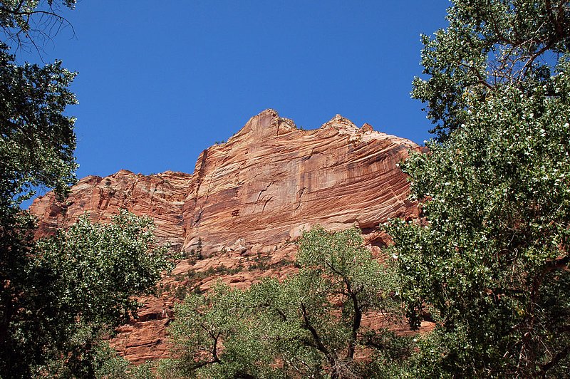 DSC_6112.jpg