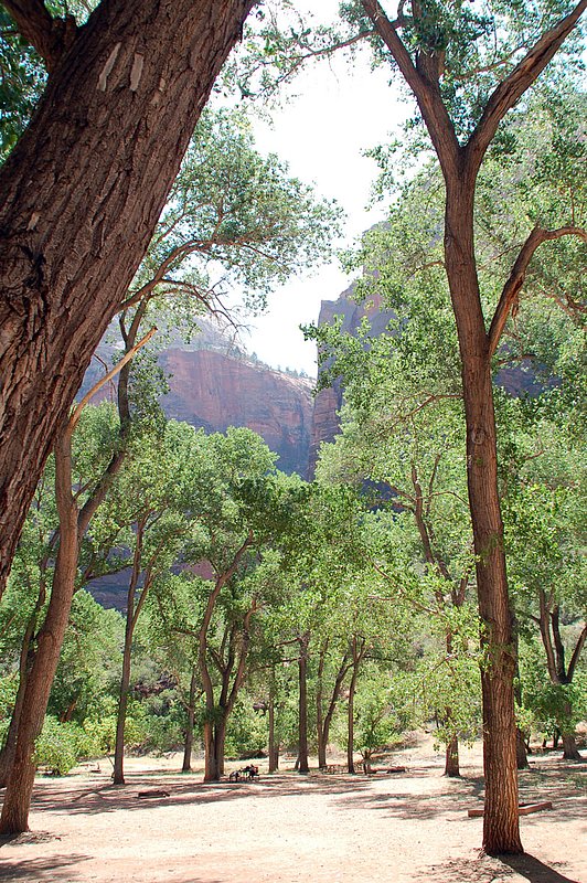 DSC_6116.jpg