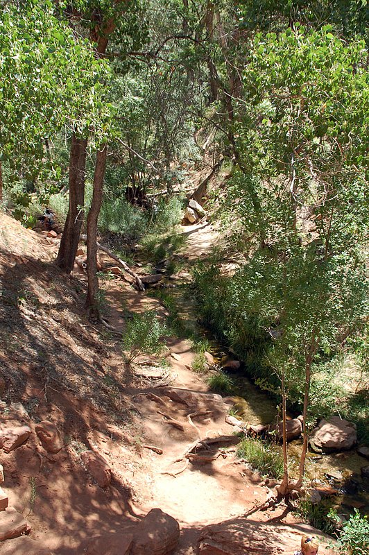 DSC_6118.jpg