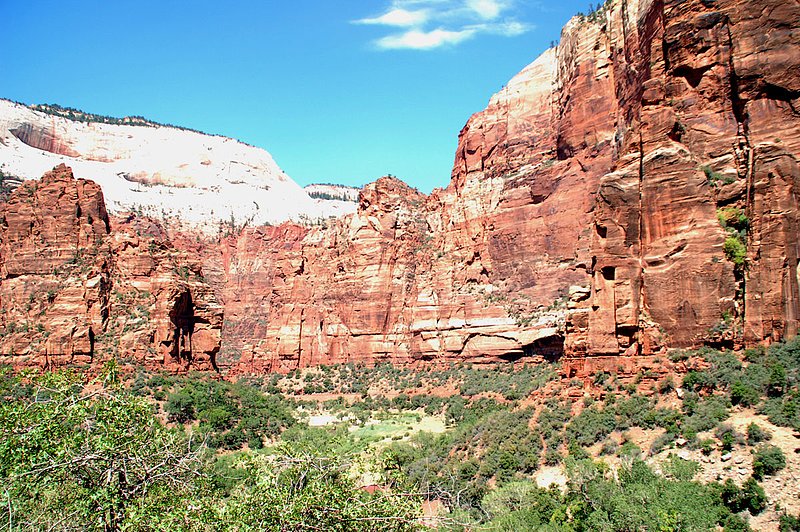 DSC_6120.jpg