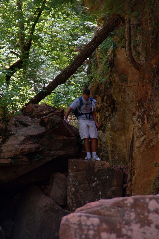 DSC_6138.jpg