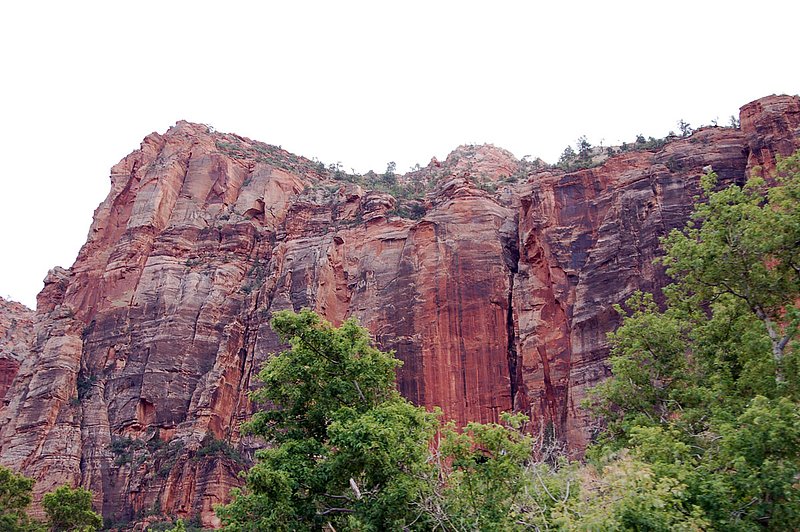 DSC_6150.jpg