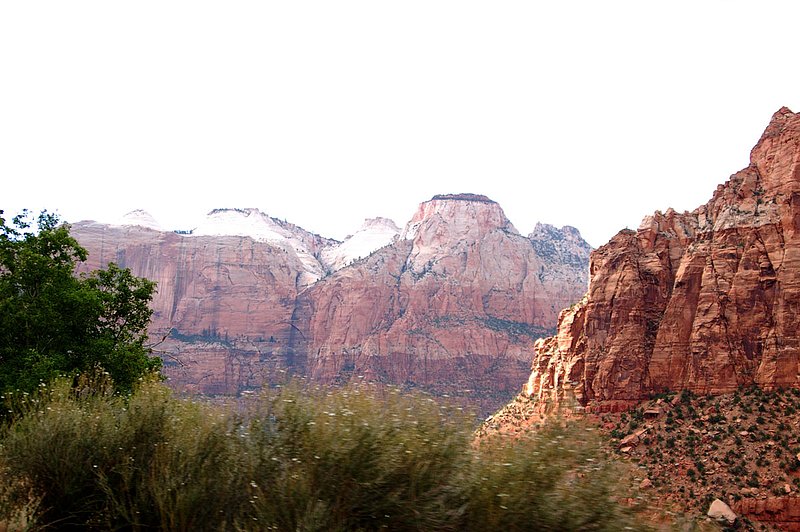 DSC_6153.jpg
