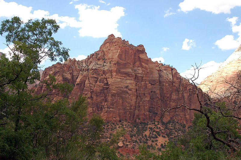 DSC_6157.jpg