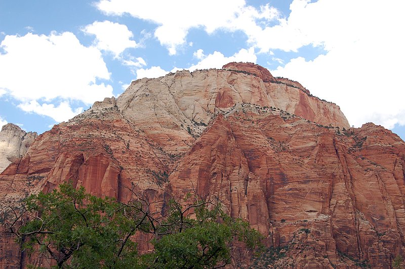 DSC_6158.jpg