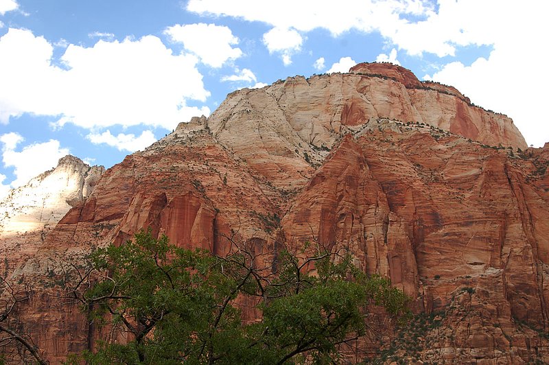 DSC_6159.jpg