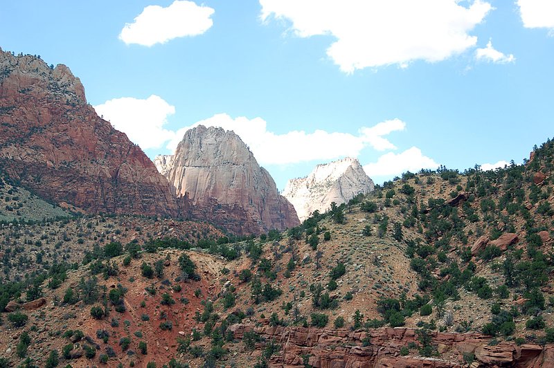 DSC_6186.jpg