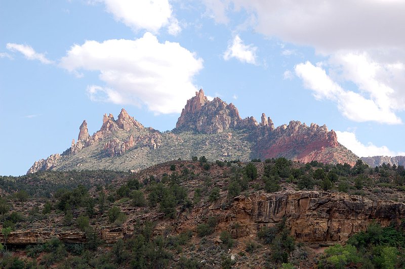 DSC_6196.jpg