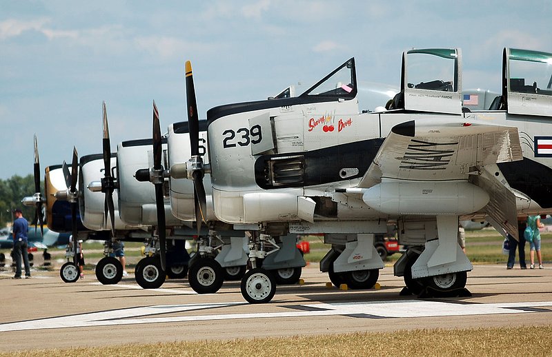 DSC_8246.jpg