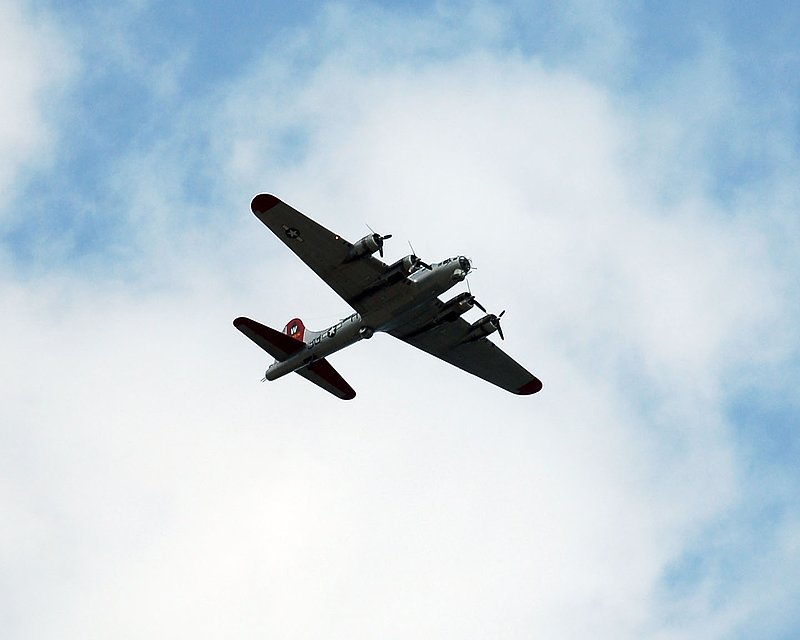 DSC_82601.jpg