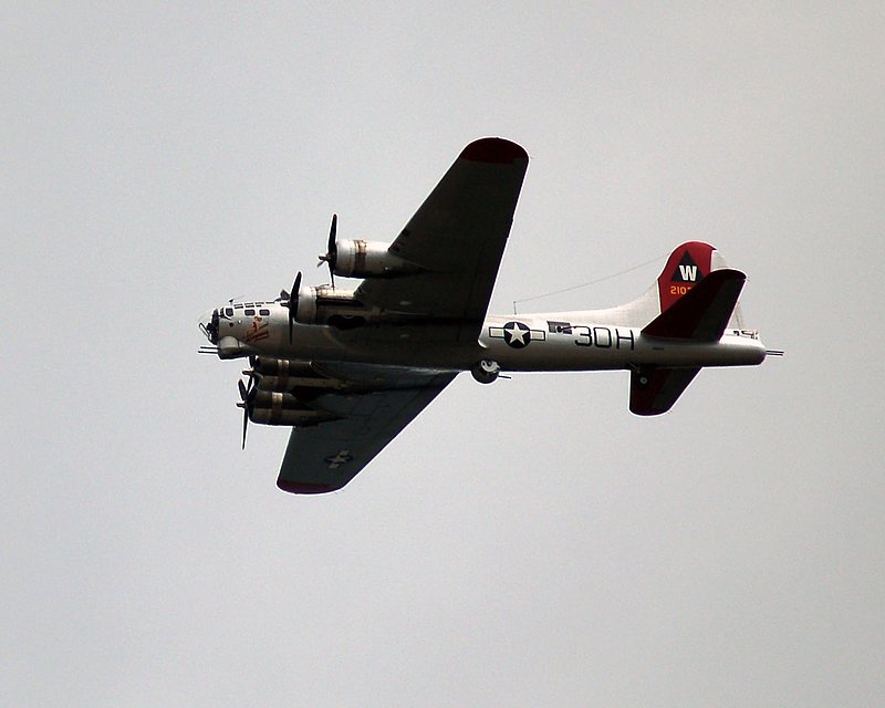 DSC_8263.jpg