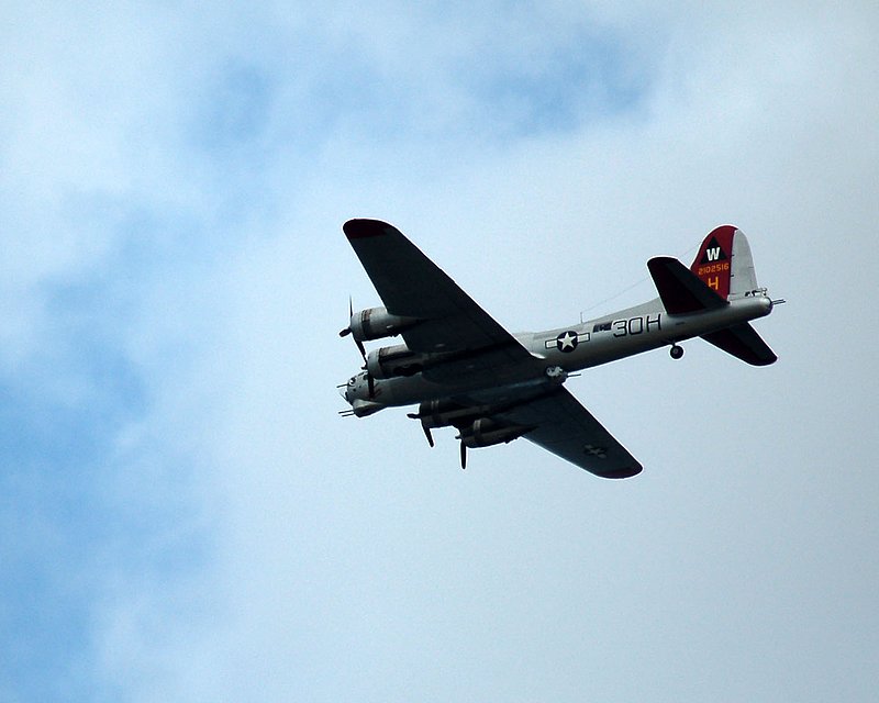 DSC_8264.jpg
